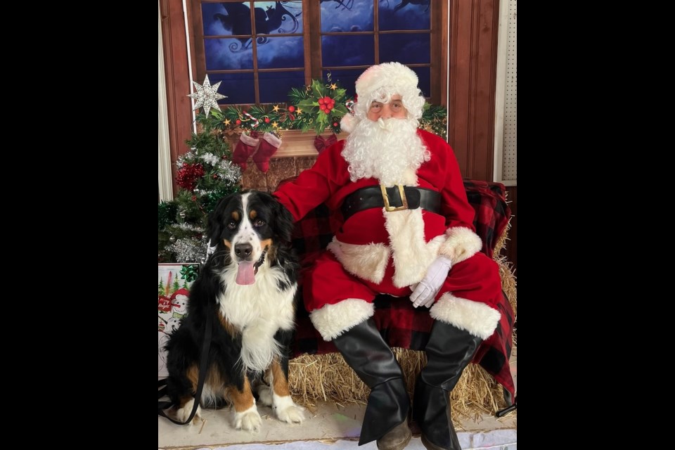 Santa Claus attended the Keon Maker's Market and took quite a few photos with attending pets on Dec. 7.