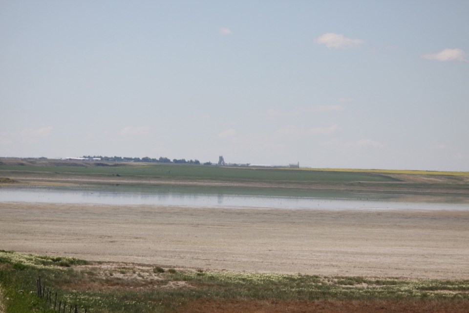 lucky lake marsh ron photo summer 2021