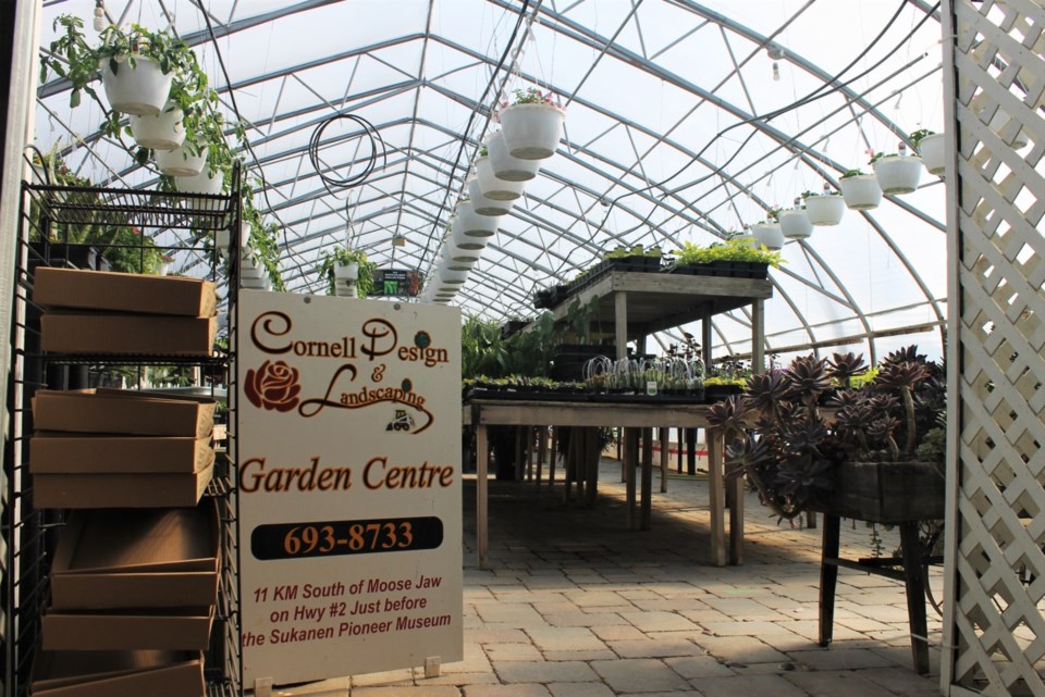 cornell greenhouse6