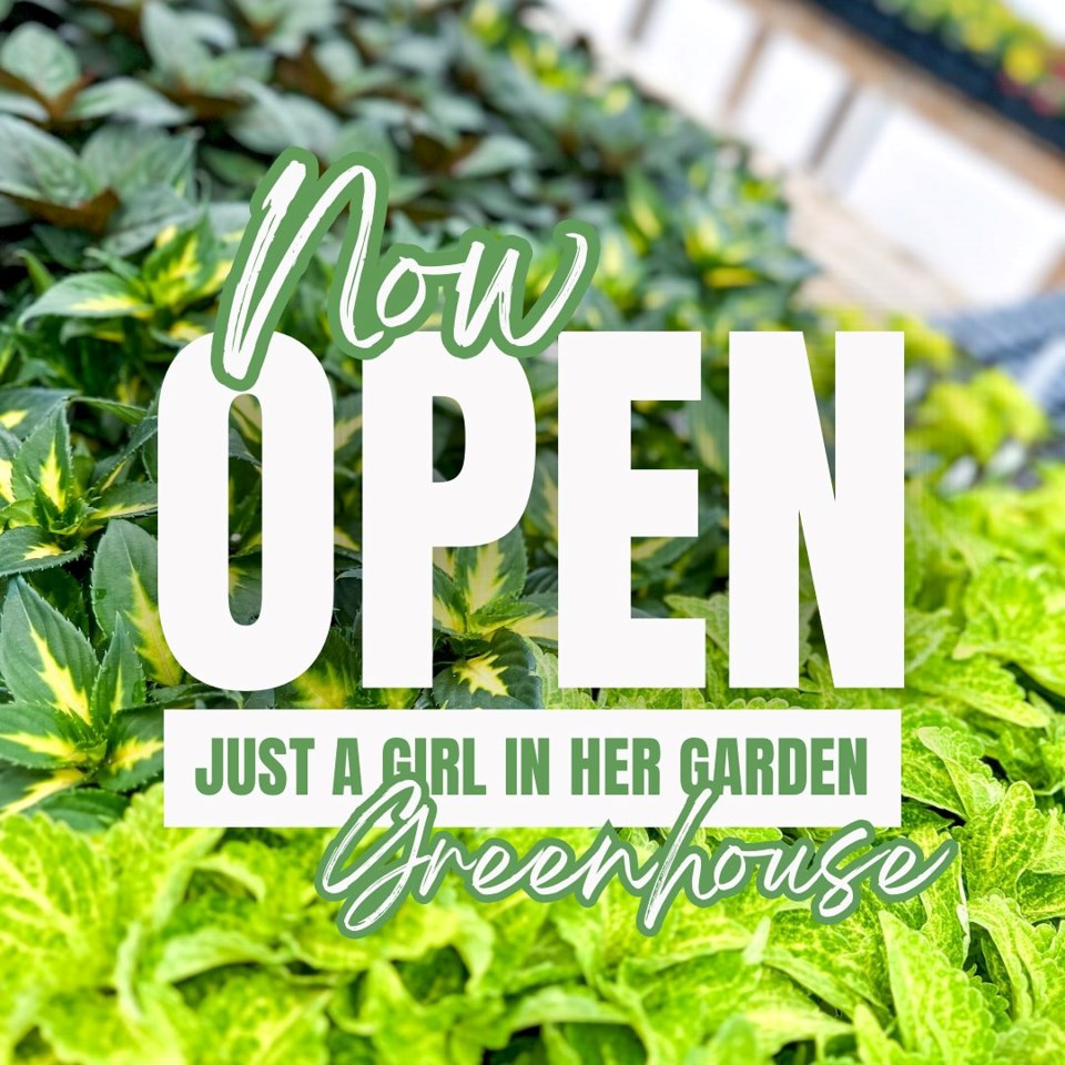 just-a-girl-greenhouse-open