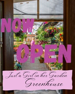 just-a-girl-now-open