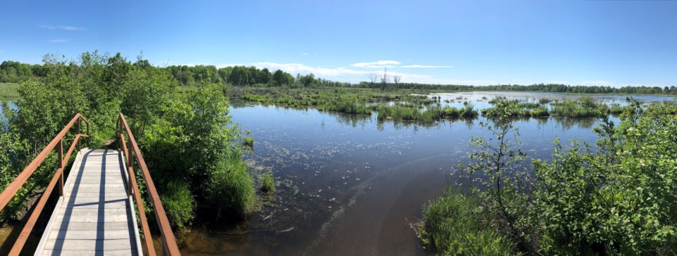 Nature Conservancy of Canada - Wetlands photo
