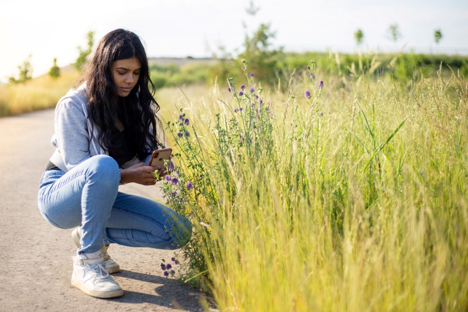 Person participating in NCC's Big Backyard BioBlitz