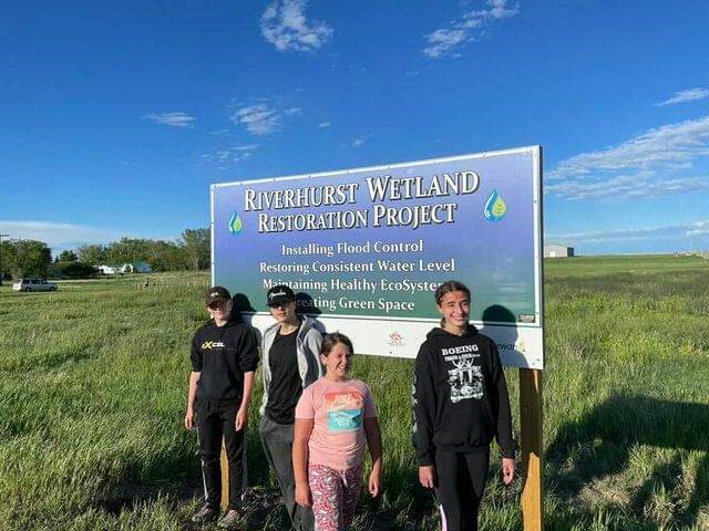 Riverhurst wetland restoration project