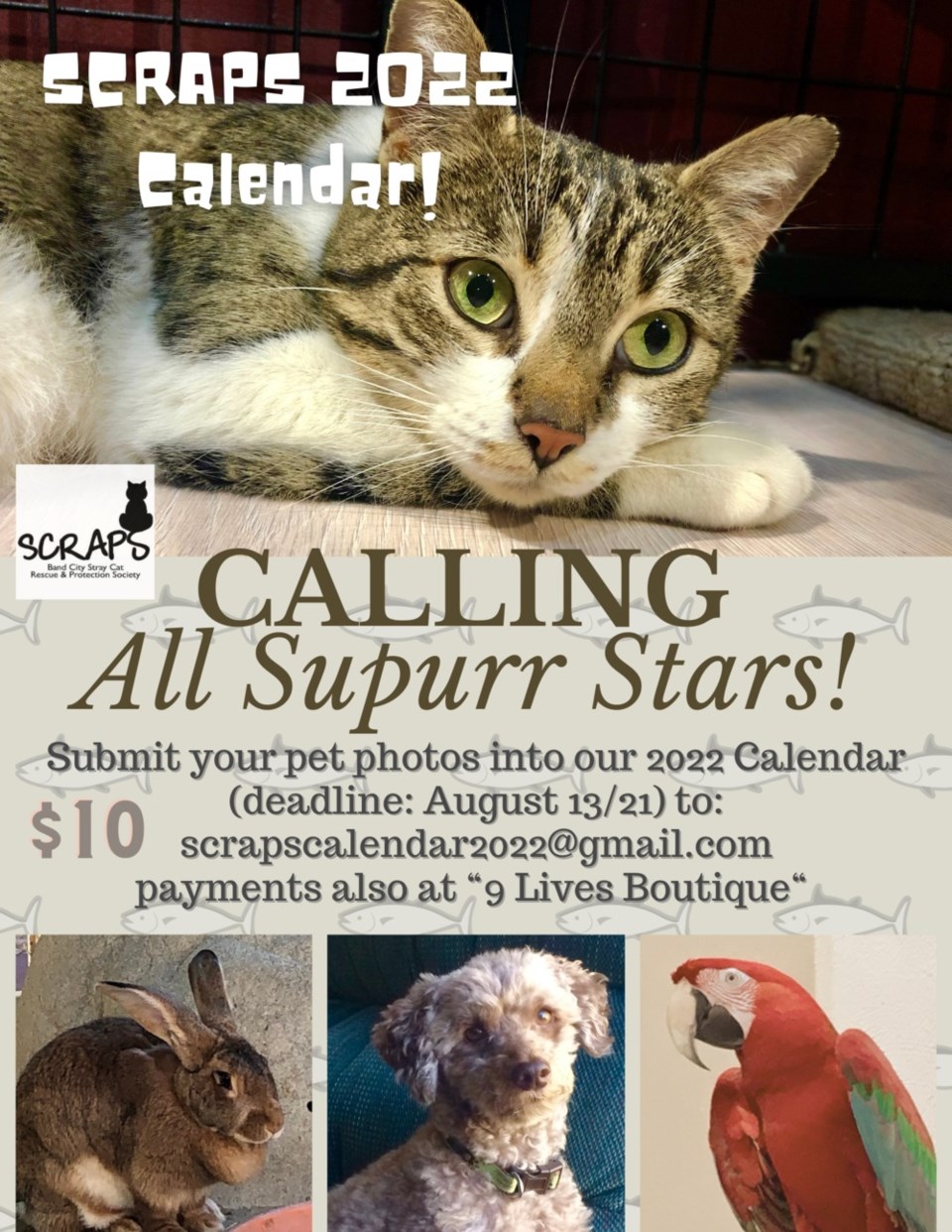 SCRAPS calendar 2022 poster