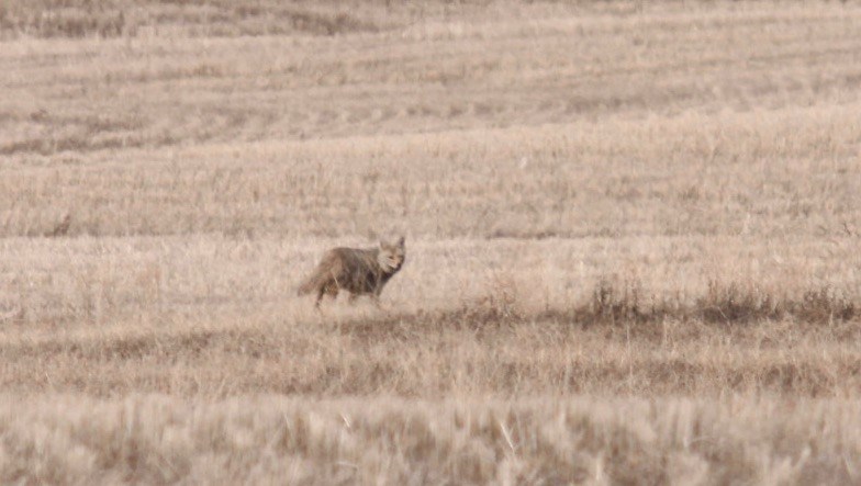 south-sask-ron-walter-2