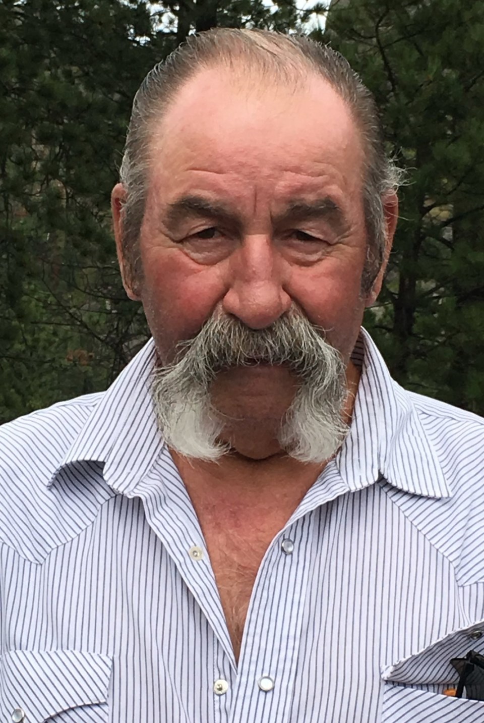 pequin_donald