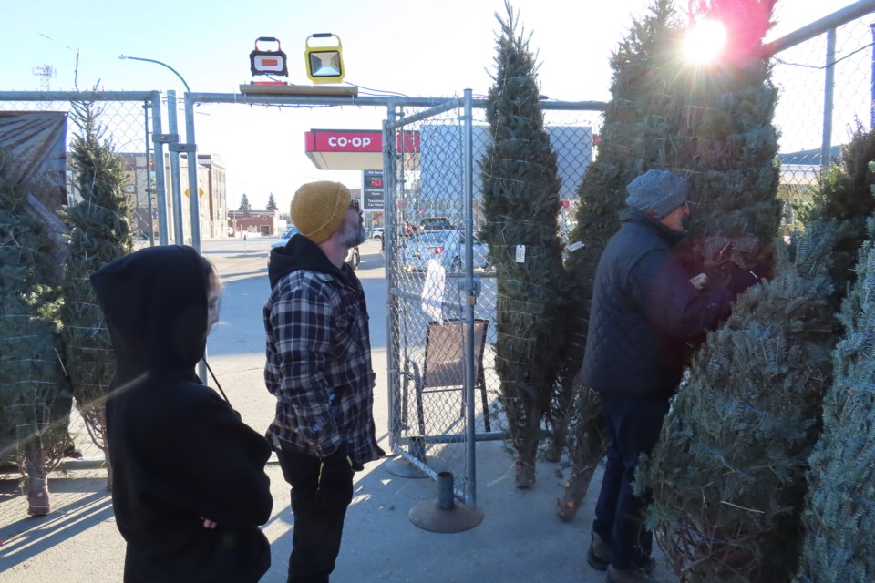 Sales began on Nov. 23 at the Rotary's Christmas tree pavilion in the parking lot of the Moose Jaw Co-op