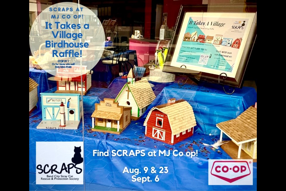 Lammle’s seven-set birdhouse village is available to be won at the Sept. 9 SCRAPS fundraiser raffle. 