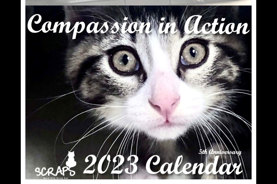 Compassion in Action 2023