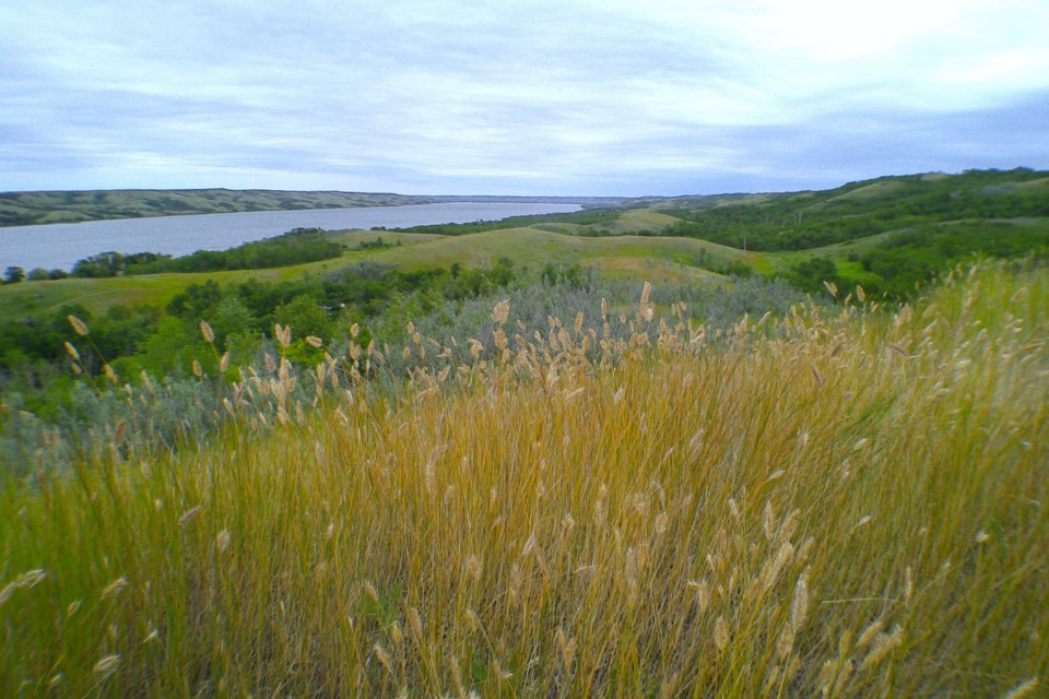 buffalo-pound-view-1
