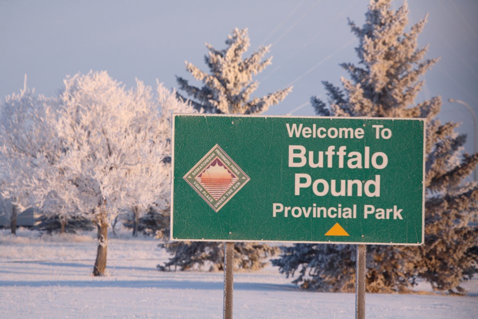 buffalo-pound-winter