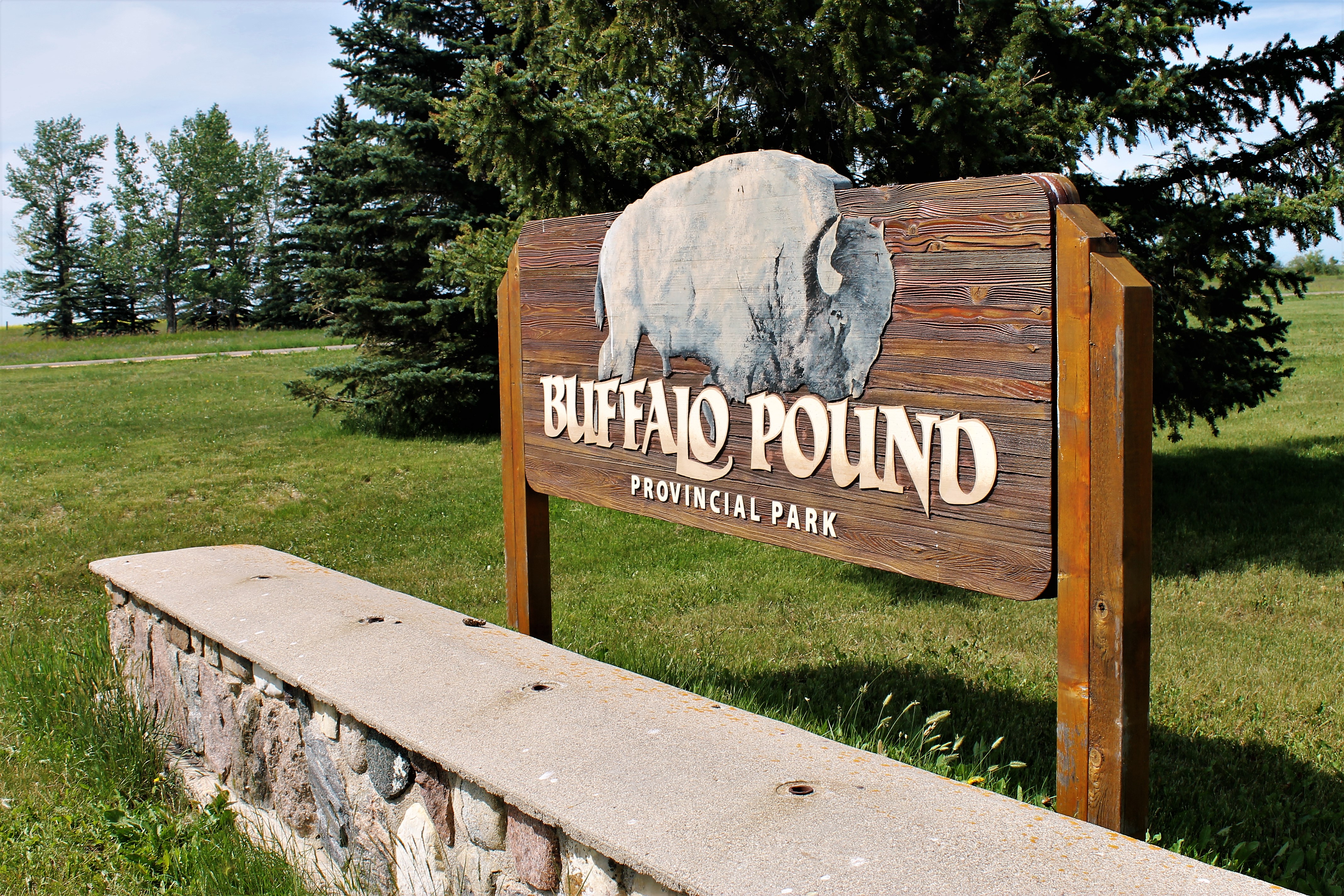 Buffalo is cooking this September -