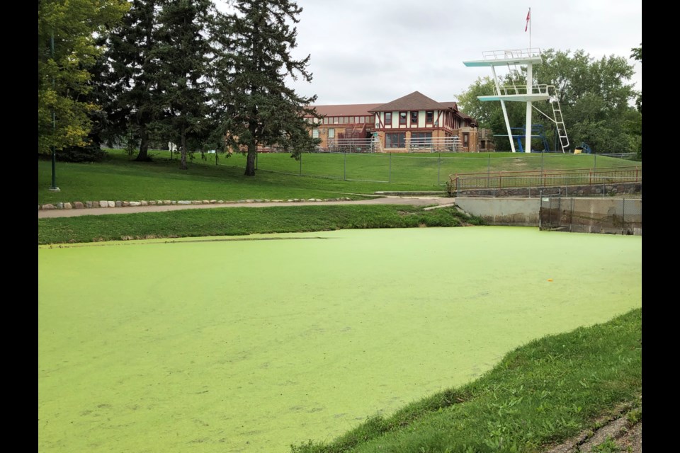 Crescent Park's Serpentine Creek, looking toward the outdoor pool. Photo by Jason G. Antonio 