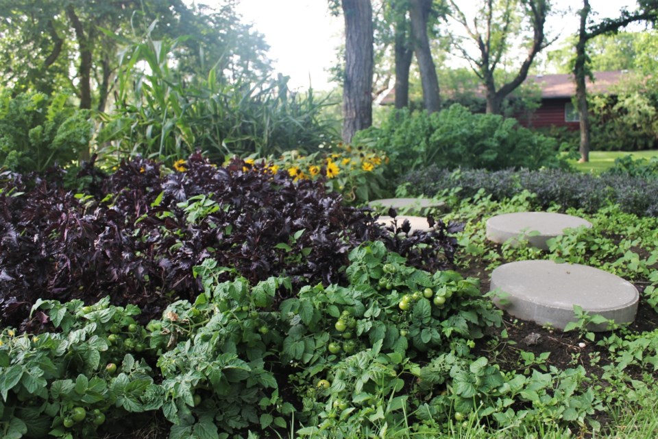 crescent park edible garden