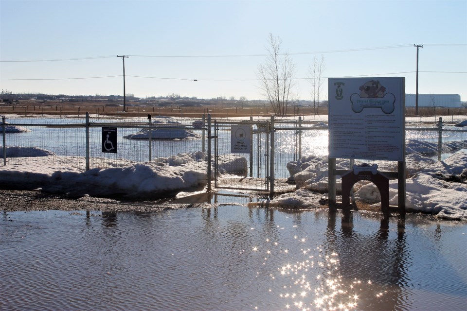 small dog park flooded