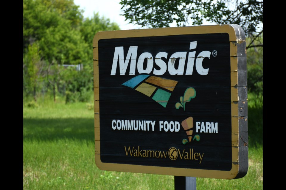 The Mosaic Community Food Farm is located in Wellesley Park just off Bank Street.