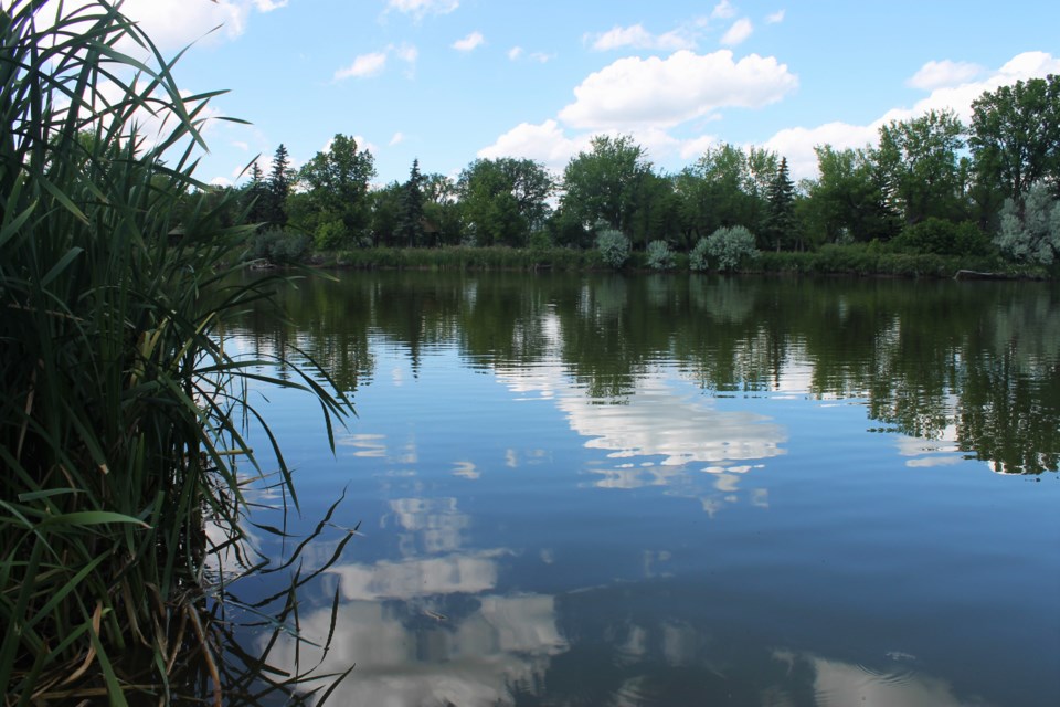 plaxton lake at kiwanis pavillion