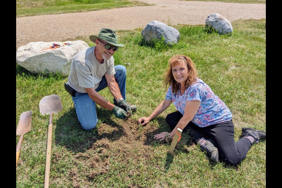 Volunteers Greg and Twila plant a spruce sapling