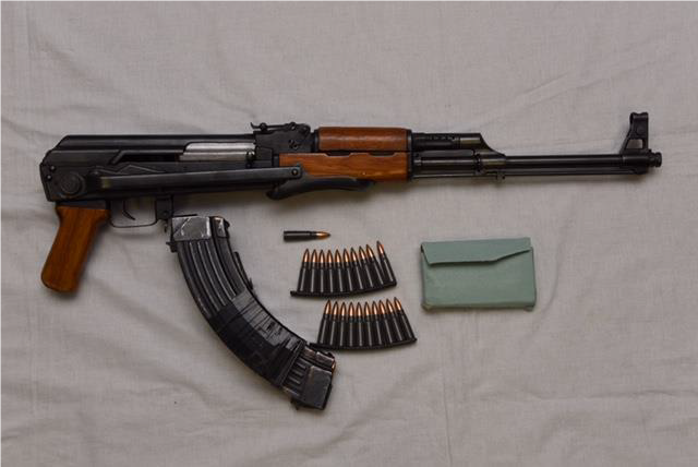 mjps firearm seizure