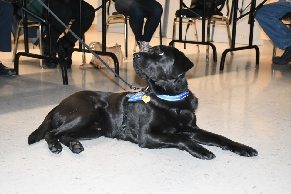 Sven, a three-year-old black Labrador retriever, spent time visiting with the Board of Police Commissioners during their recent meeting. Photo by Jason G. Antonio 