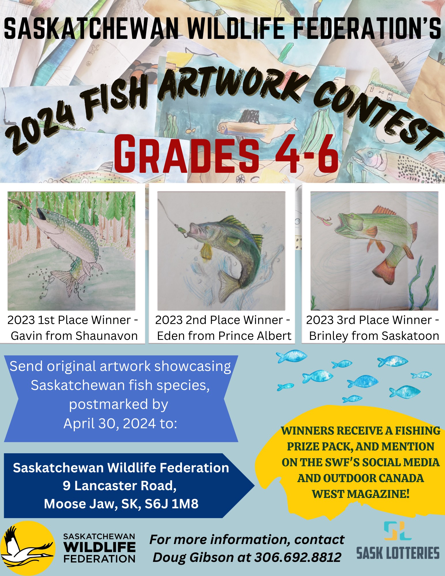 Aspiring young artists can showcase drawings in Wildlife Federation's fish  art contest 