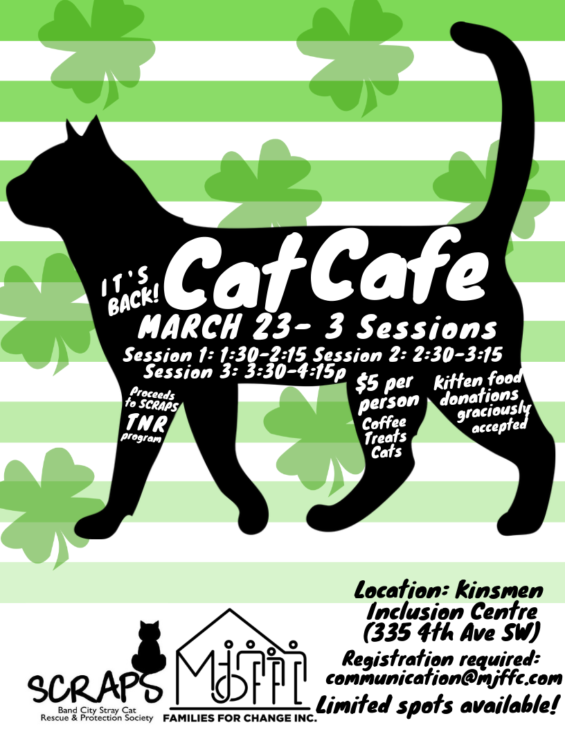 scraps cat cafe march 2019