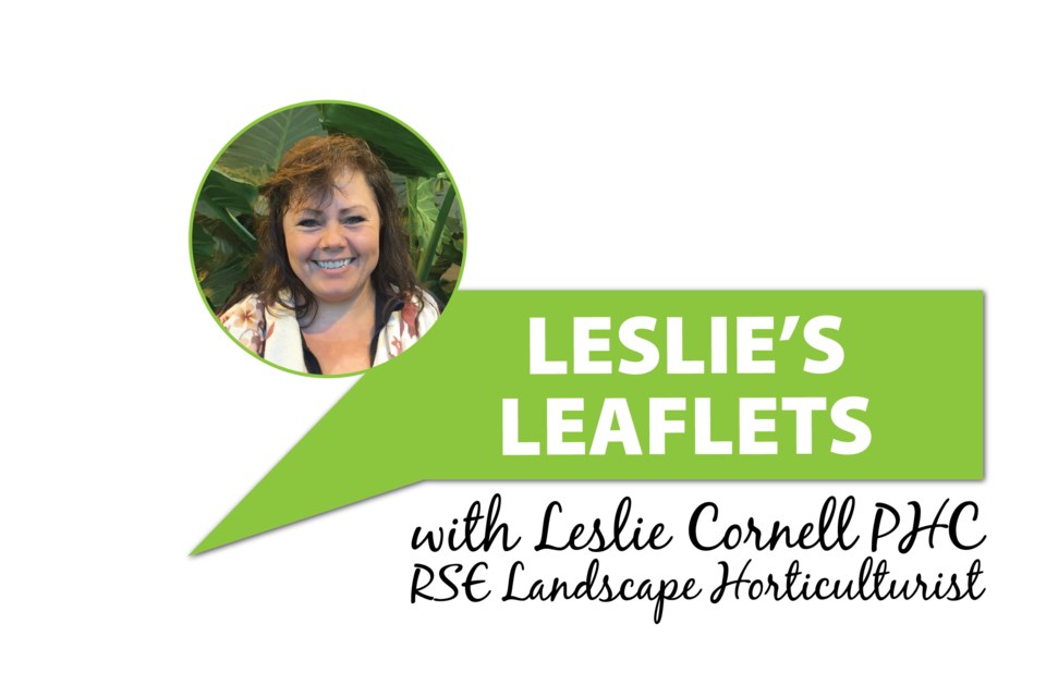 LeslieLeafletsWithLeslieCornell-15-15