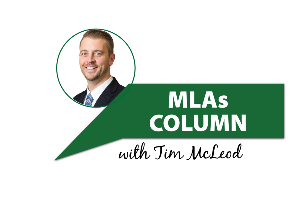 tim-mcleod-mla-report