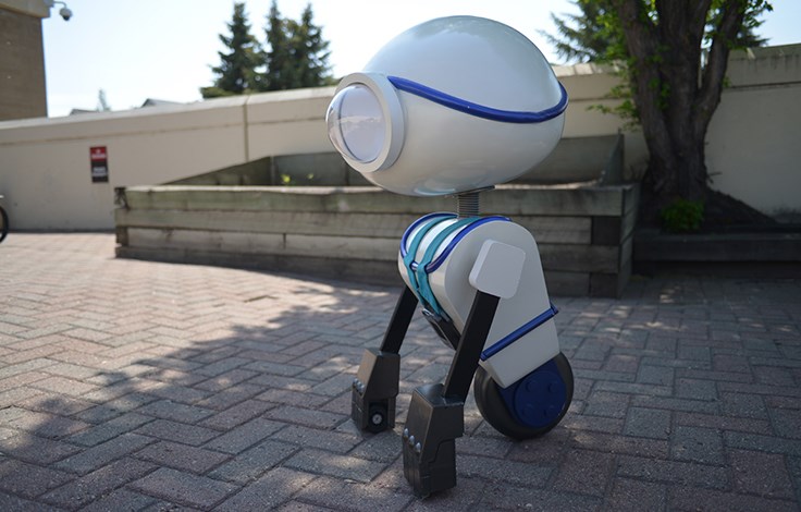 SGI bucklebot