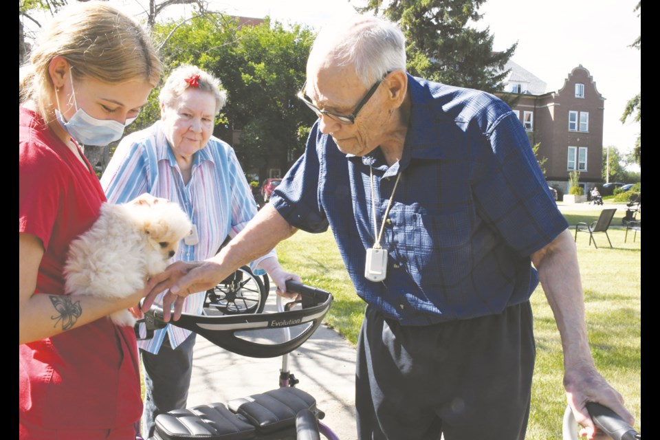 Kaelyn, a housekeeper at Chateau St. Michael's, shows off a cute pooch to resident Dick and his wife Marie. Photo by Jason G. Antonio 