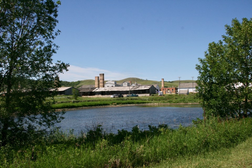 Plant site (Photo by Ron Walter)