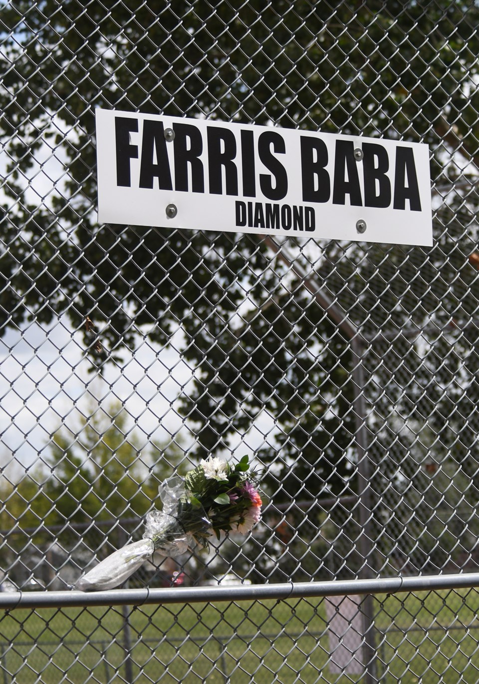 Baba flowers