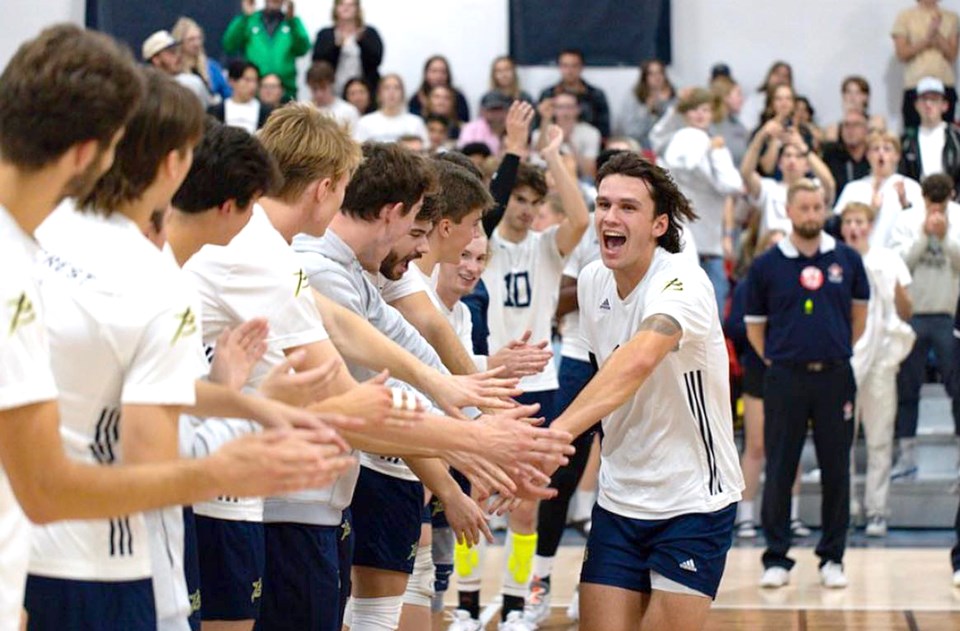 clipper-volleyball-file
