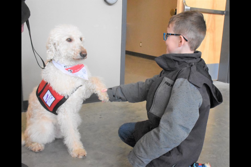 How ya doing? Weyburn’s Jaxon Porter shakes a paw with Lola, a therapy dog with St. John Ambulance, during the Scotties at Mosaic Place. Photo by Jason G. Antonio 