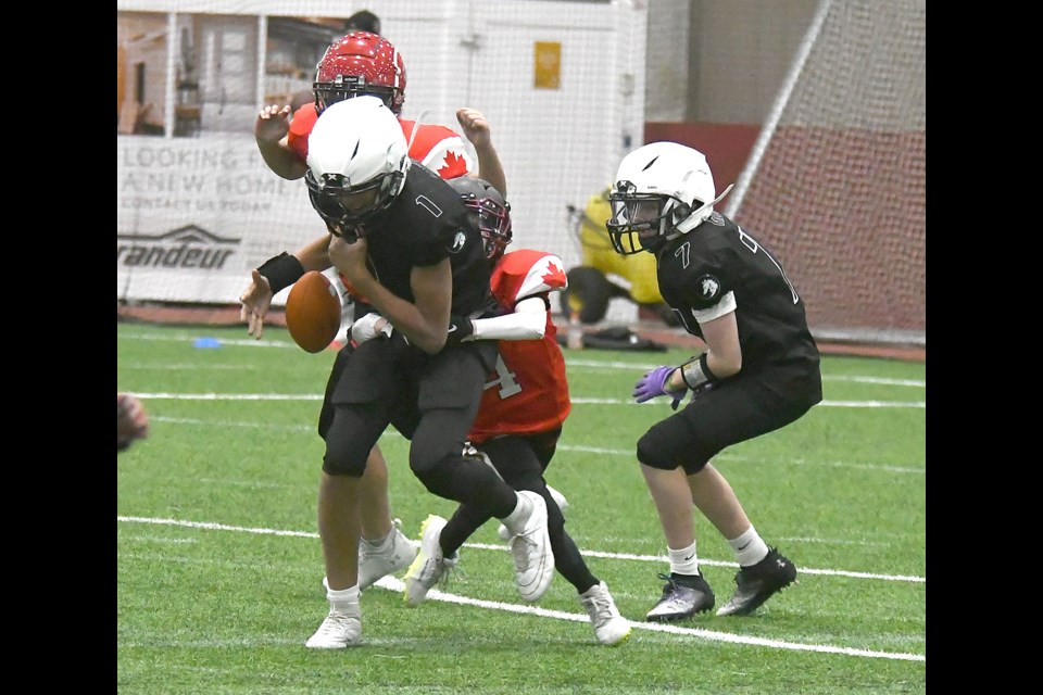 A pair of Sask Selects defenders get to 12U Airdrie Eclipse quarterback Davin Bankebabone and force a fumble.