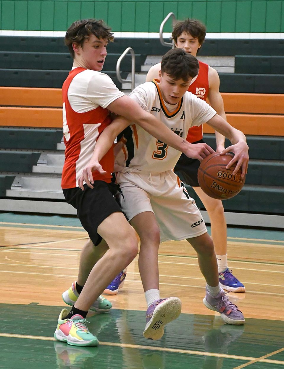 Basketball Peacock Notre Dame boys 2