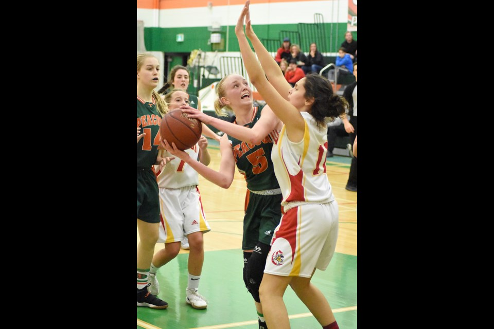 Anna Maelde from Peacock looks to get get off a shot against the Crusaders's Megan Tomyn. Randy Palmer photograph