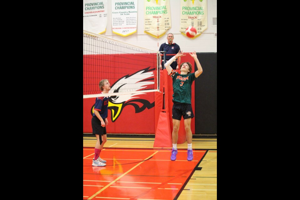 Setter Tegan Tollefson (#3) sets up a shot