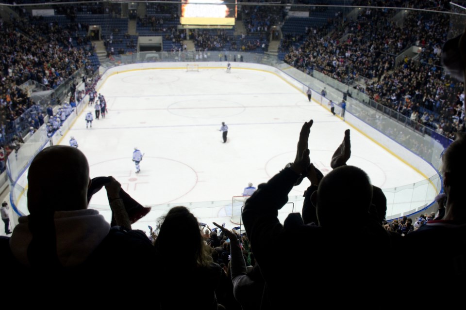 hockey crowd in arena shutterstock