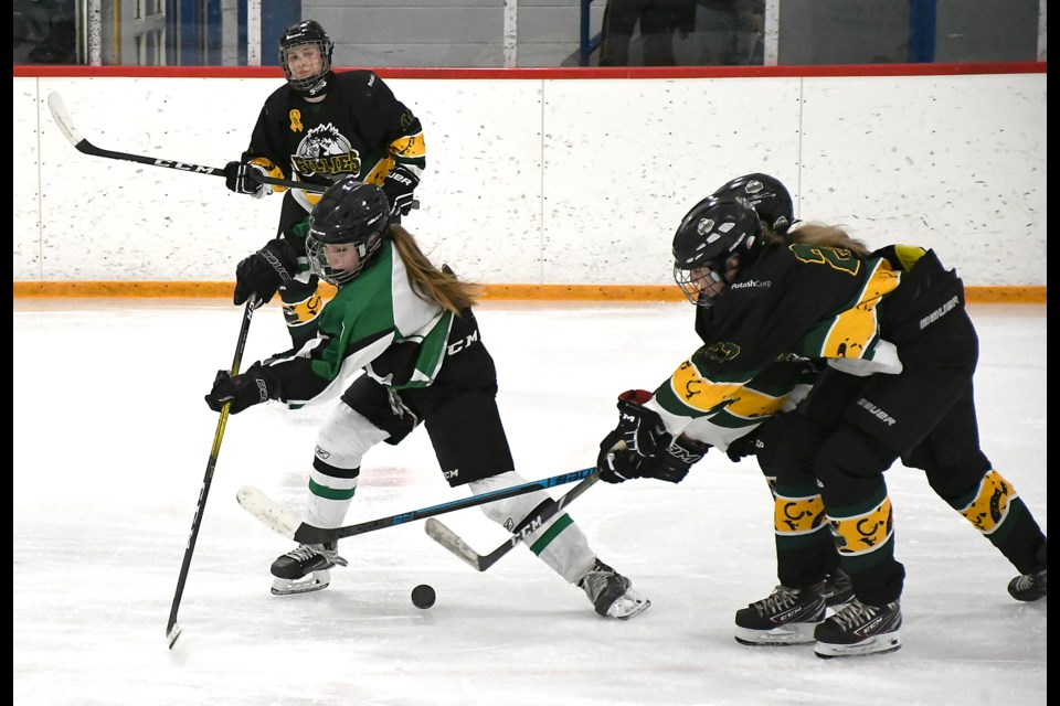 Moose Jaw’s Brooklyn Nimegeers just missed getting off a shot before being checked.