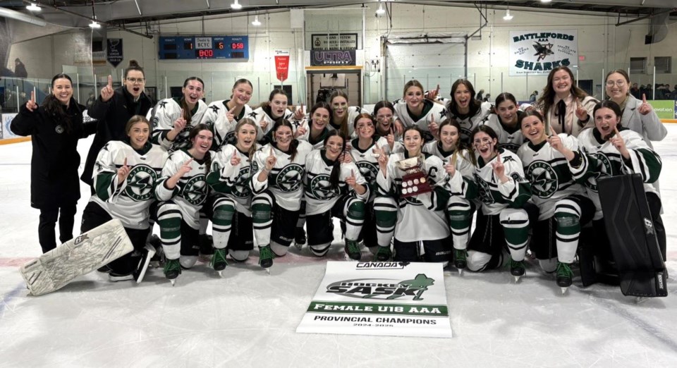 saskatoon-stars-team