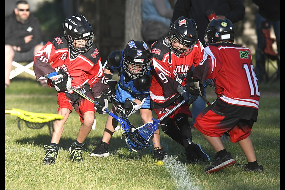 Action from the 11-and-under field lacrosse game between the Moose Jaw Mustangs and Regina Royals.
