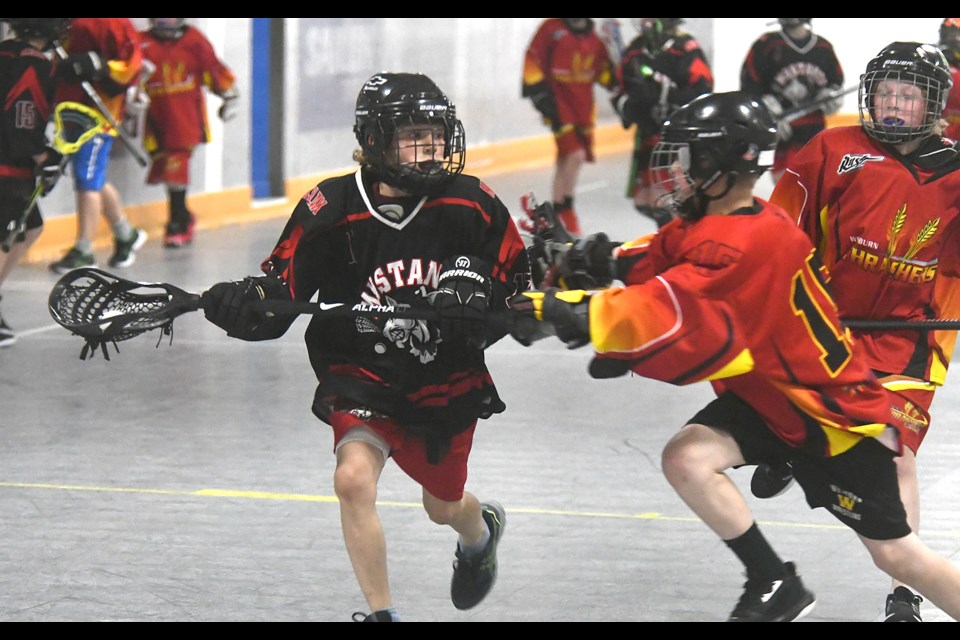 Action from the South Sask Lacrosse League U11 game between the Mustangs 2 and Weyburn Thrashers.