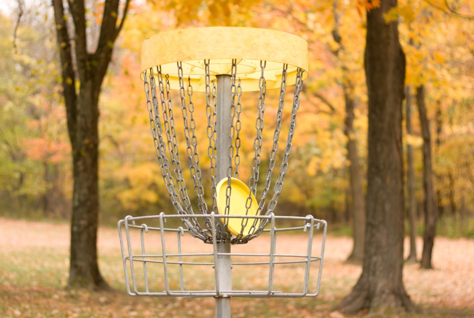 Disc golf basket