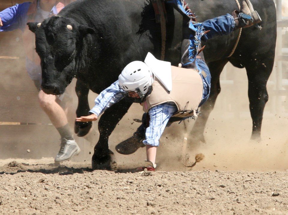 A bull rider falls from a bucking bull (gribben-iStock-Getty Images)