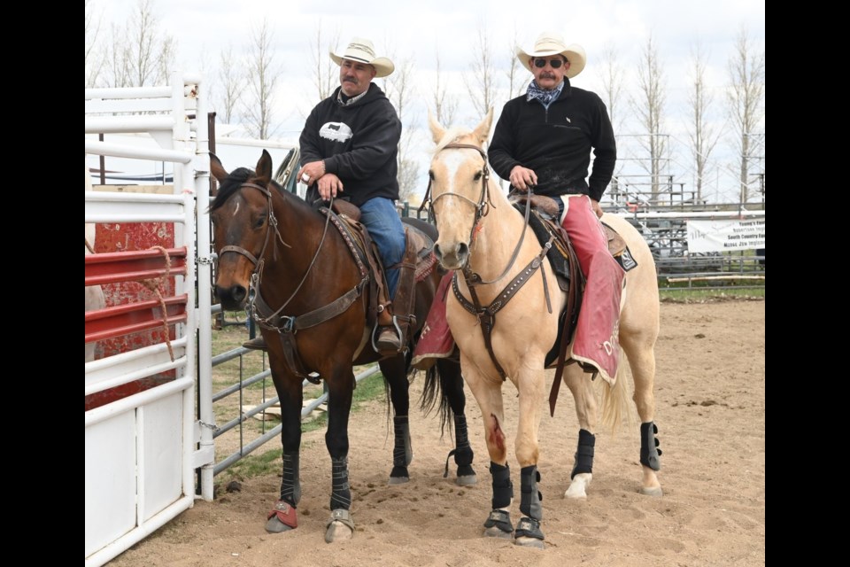 Two Pickup Men - described as the lifeline and saviours for cowboys - wait to patiently make another run 