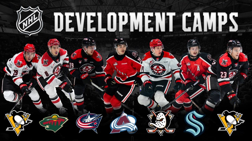 development-camps-website