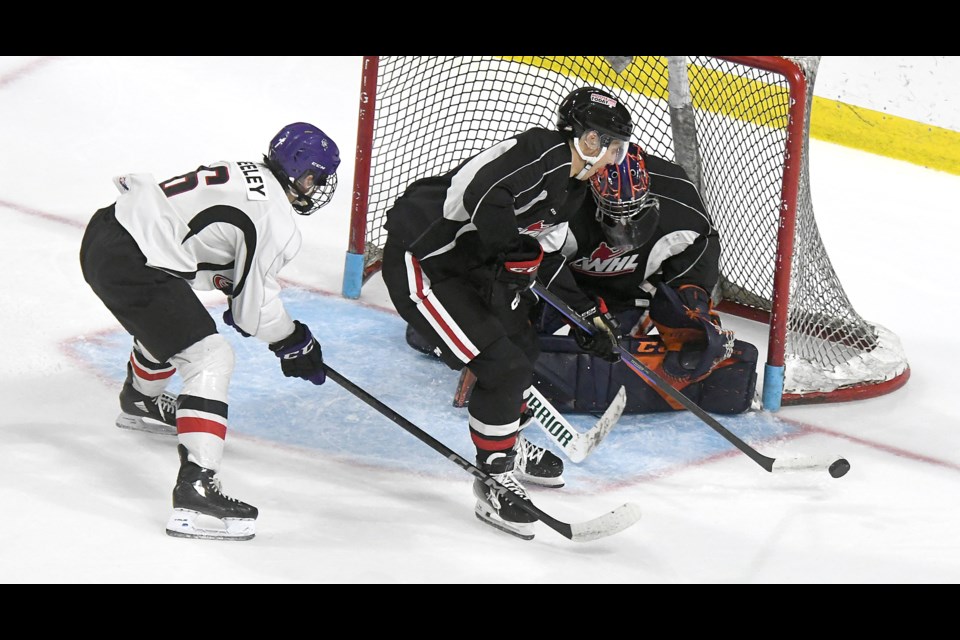 Warriors forward Eric Alarie couldn’t score on this opportunity but put home five goals during the team’s three-on-three scrimmage on Friday evening.