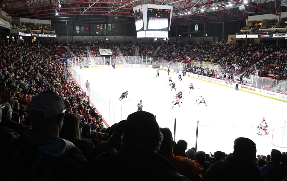 warriors-pats-bedard-crowd